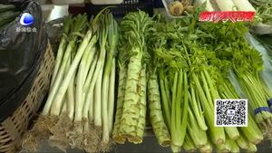 春筍大量上市 食用不當(dāng)或致病