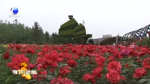 “5·18”經(jīng)洽會接軌國際化標(biāo)準(zhǔn) 提升我市文明城市創(chuàng)建水平