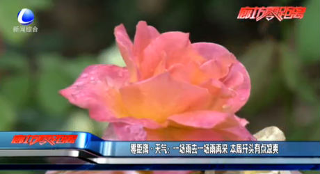 一場(chǎng)雨去一場(chǎng)雨再來 本周開頭有點(diǎn)涼爽