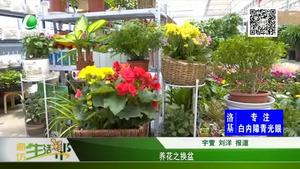 養(yǎng)花之換盆