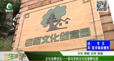 文化消費(fèi)巡禮—— 香河老樹文化創(chuàng)意孵化園