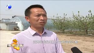 香河縣安平鎮(zhèn)休閑觀光農(nóng)業(yè)打造農(nóng)村新經(jīng)濟增長極