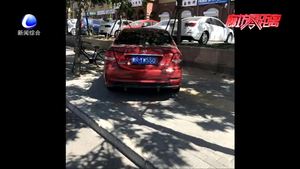 交通違法曝光臺