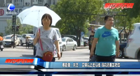 零距離關(guān)注：文明禮讓斑馬線 司機還需加把勁