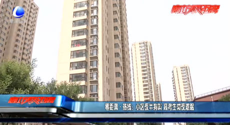 小區(qū)夜半狗叫 高考生徹夜難眠