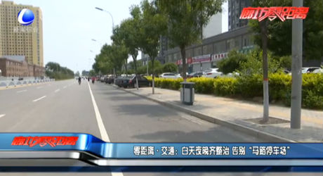 白天夜晚齊整治 告別“馬路停車場”