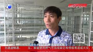 食在好源頭——黃豆芽的營養(yǎng)價值與食用方法