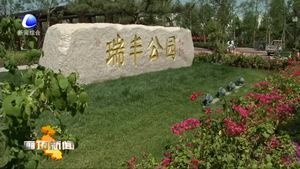 市政協(xié)委員圍繞主城區(qū)建設(shè)開展視察和協(xié)商議政活動