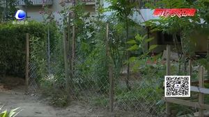 小區(qū)綠地被私自圈占 業(yè)主期待部門管管