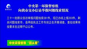 中央第一環(huán)保督察組向我市交辦信訪舉報(bào)問(wèn)題線索情況