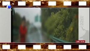 高速逆行8公里 只為回到事故現(xiàn)場