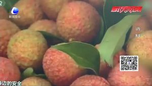 “10個(gè)孩子因吃荔枝死亡”刷爆朋友圈 醫(yī)生說出真相
