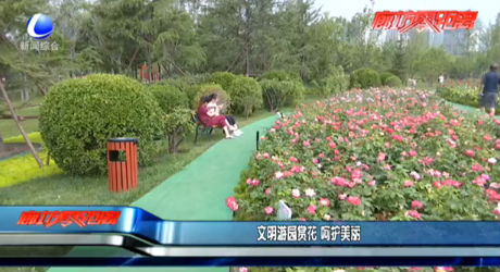 文明游園賞花 呵護(hù)美麗