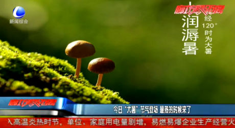 今日“大暑”節(jié)氣登場 最熱的時(shí)候來了