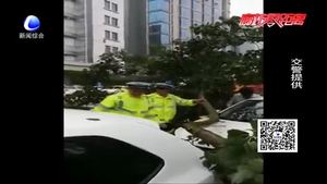 雨天大樹傾倒砸轎車 交警第一時(shí)間救人