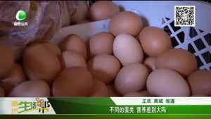 不同蛋類 營(yíng)養(yǎng)差別大嗎