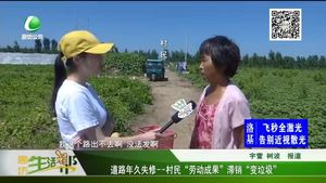 道路年久失修——村民“勞動(dòng)成果”滯銷“變垃圾”