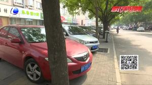 大樹底下好乘涼 車漆危害不容忽視