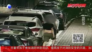 路邊停車圖方便 車主損失近萬元