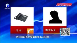 窗前愛竹突然被砍 居民痛惜要說法