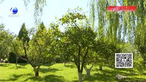 公園果木宜觀賞 果實不應(yīng)隨意摘