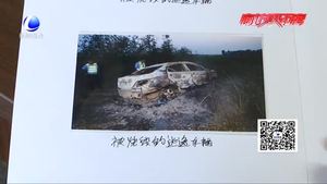 三歲男孩被撞飛司機(jī)肇事逃逸 民警兩月擒兇