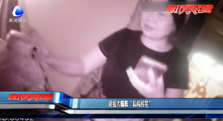 超級(jí)大蜘蛛“私闖民宅”