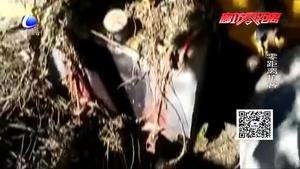 車停路邊被“油耗子”盯上 油損超過16000元