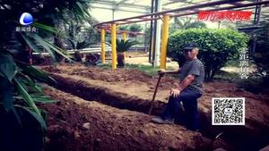 九天休閑谷進(jìn)入人工收尾階段 預(yù)計(jì)九月中下旬開業(yè)