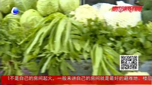 天氣晴好 蔬菜 雞蛋價格回落