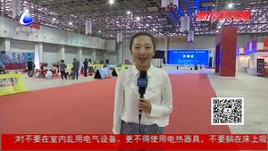 京津冀非物質(zhì)文化遺產(chǎn)精品聯(lián)展暨第六屆廊坊特色文化博覽會(huì)啟幕