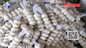 拉蒜車“綠色通道”通不過(guò)？工作人員：干皮大蒜有別于鮮蒜 不減免