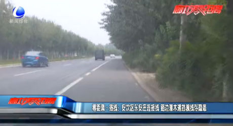 安次區(qū)東安莊連接線 路邊灌木遮擋視線存隱患