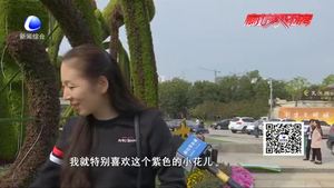 園林綠雕景觀 吸引眾多市民目光