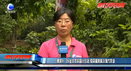 聚焦9·26金豐農(nóng)科園分會場 奇異蔬果展示現(xiàn)代農(nóng)業(yè)