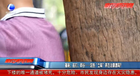 撞樹(shù)、拍打、辟谷......這些“土味”養(yǎng)生法靠譜嗎？