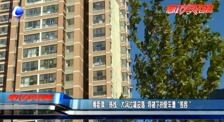 零距離·熱線：大風(fēng)過(guò)墻皮落 停樓下的愛(ài)車(chē)遭“毀容”