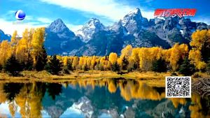 秋色漸濃 錯峰出行正當(dāng)時