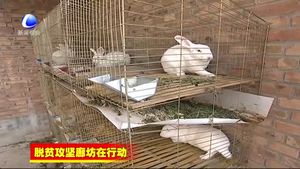 固安縣精準(zhǔn)幫扶打贏脫貧攻堅(jiān)戰(zhàn)