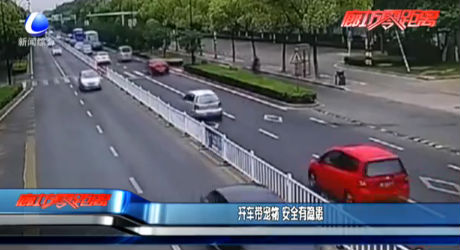 開車帶寵物 安全有隱患