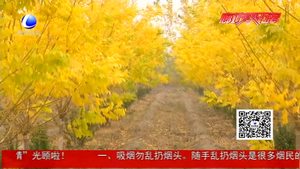 做美綠色生活 群眾幸福指數(shù)攀升