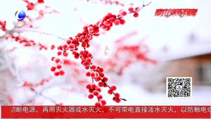 今日立冬：北風(fēng)潛入悄無(wú)蹤 未品秋濃已立冬