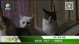給身邊的“毛孩子”一個(gè)溫暖的家