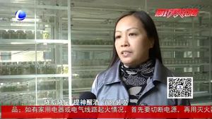 食在好源頭——百香果的食用價(jià)值