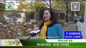 落葉堆積存隱患 相關(guān)部門及時(shí)清理