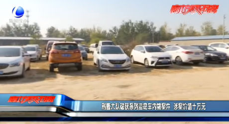 刑警大隊(duì)破獲系列盜竊車內(nèi)案件 涉案價(jià)值十萬元
