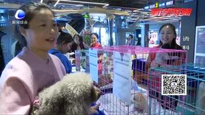 共享寵物狗不想養(yǎng)了就退 你怎么看？