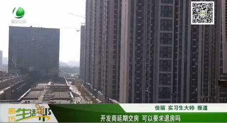 開發(fā)商延期交房 可以要求退房嗎