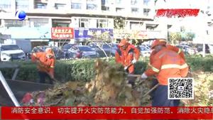 又是一年落葉季 環(huán)衛(wèi)工人清掃忙