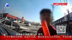 辱罵拉扯踹交警 妨礙執(zhí)行公務(wù)被拘留